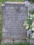 image of grave number 195030